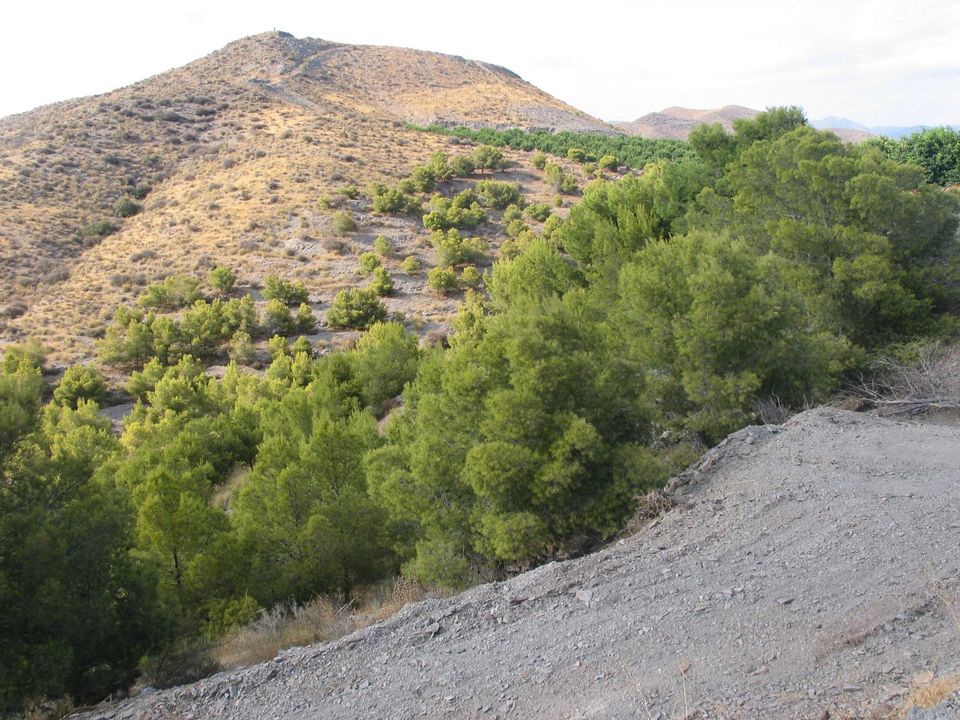 Farm hus i Aguilas, Murcia - foto 2